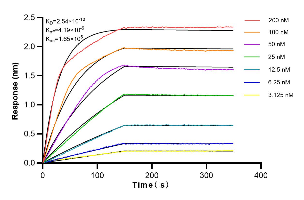 Affinity and Kinetic Characterization of 82983-2-RR