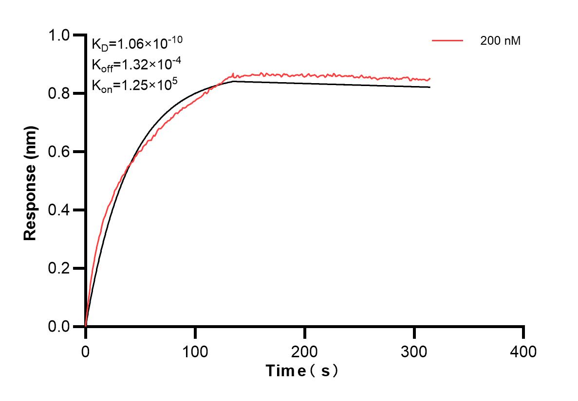 Affinity and Kinetic Characterization of 82988-3-PBS