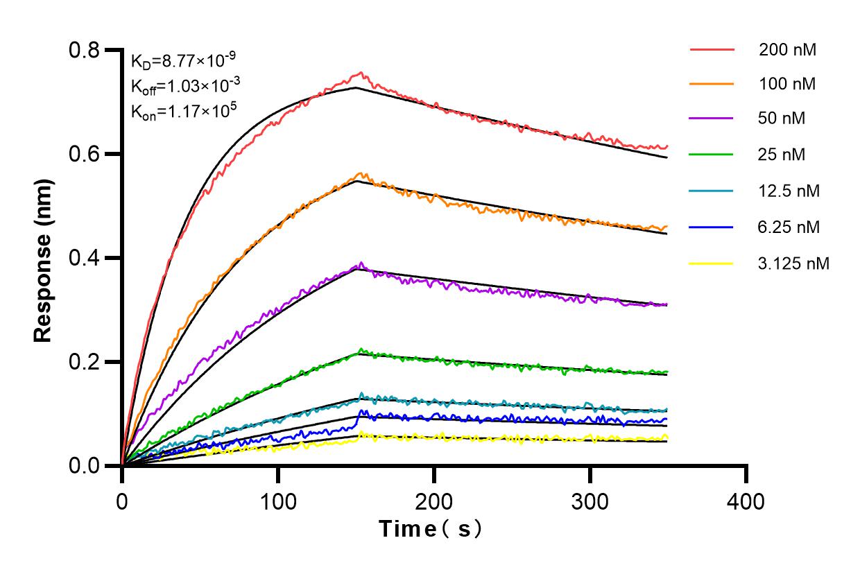 Affinity and Kinetic Characterization of 83014-5-RR