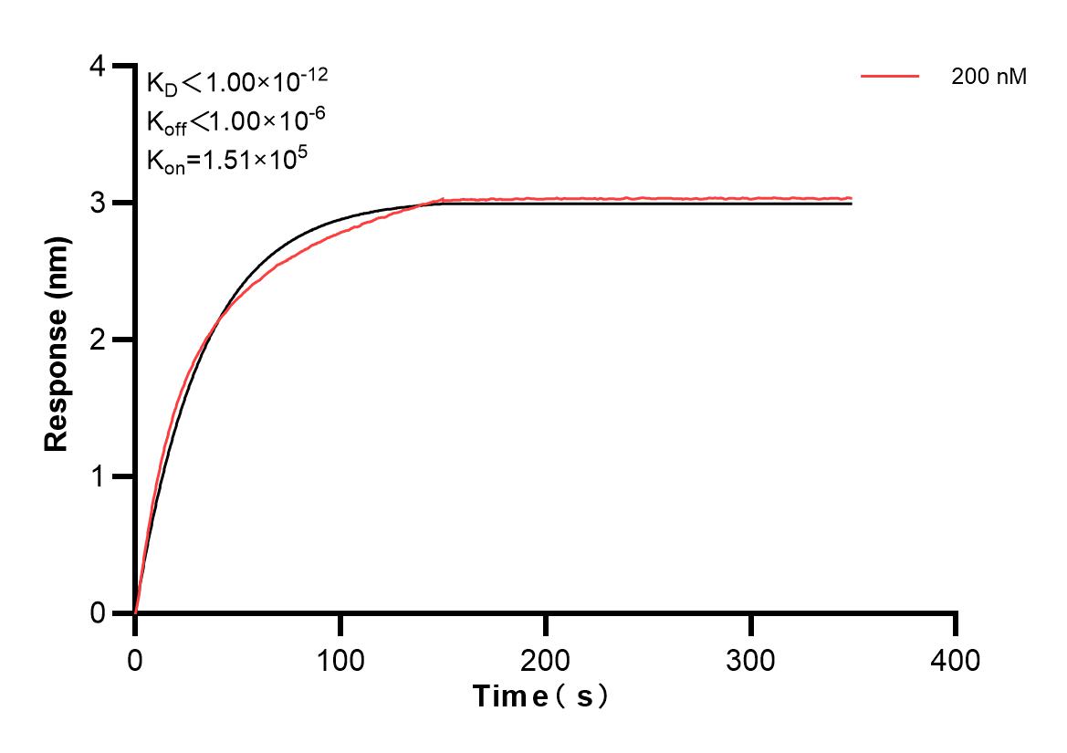 Affinity and Kinetic Characterization of 83020-3-PBS