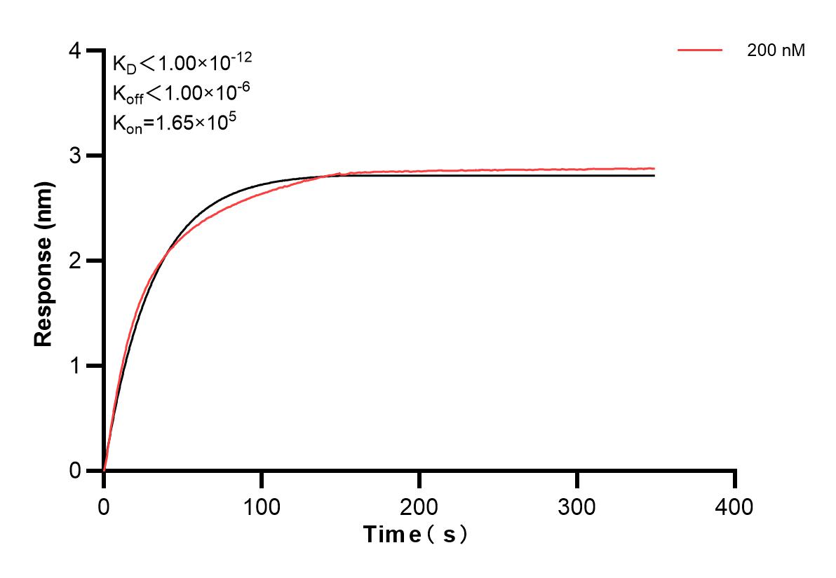 Affinity and Kinetic Characterization of 83020-4-PBS