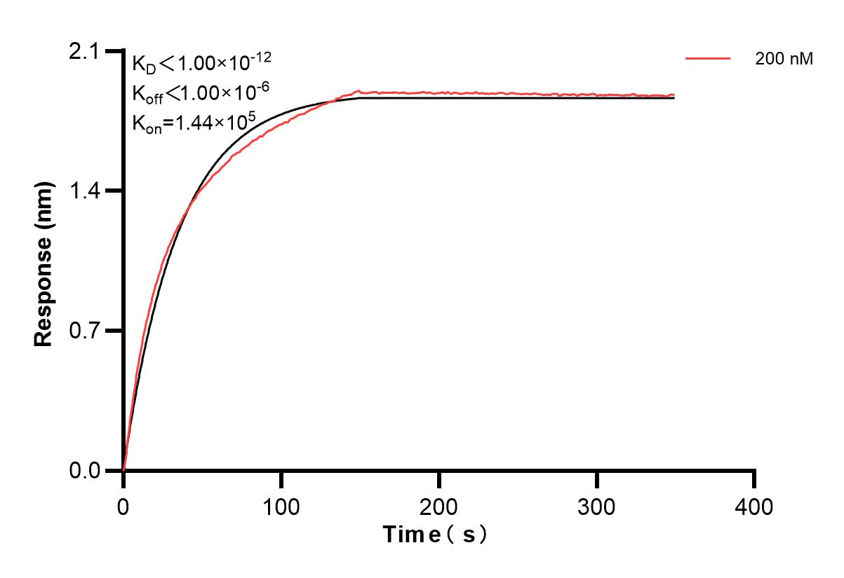 Affinity and Kinetic Characterization of 83020-5-PBS