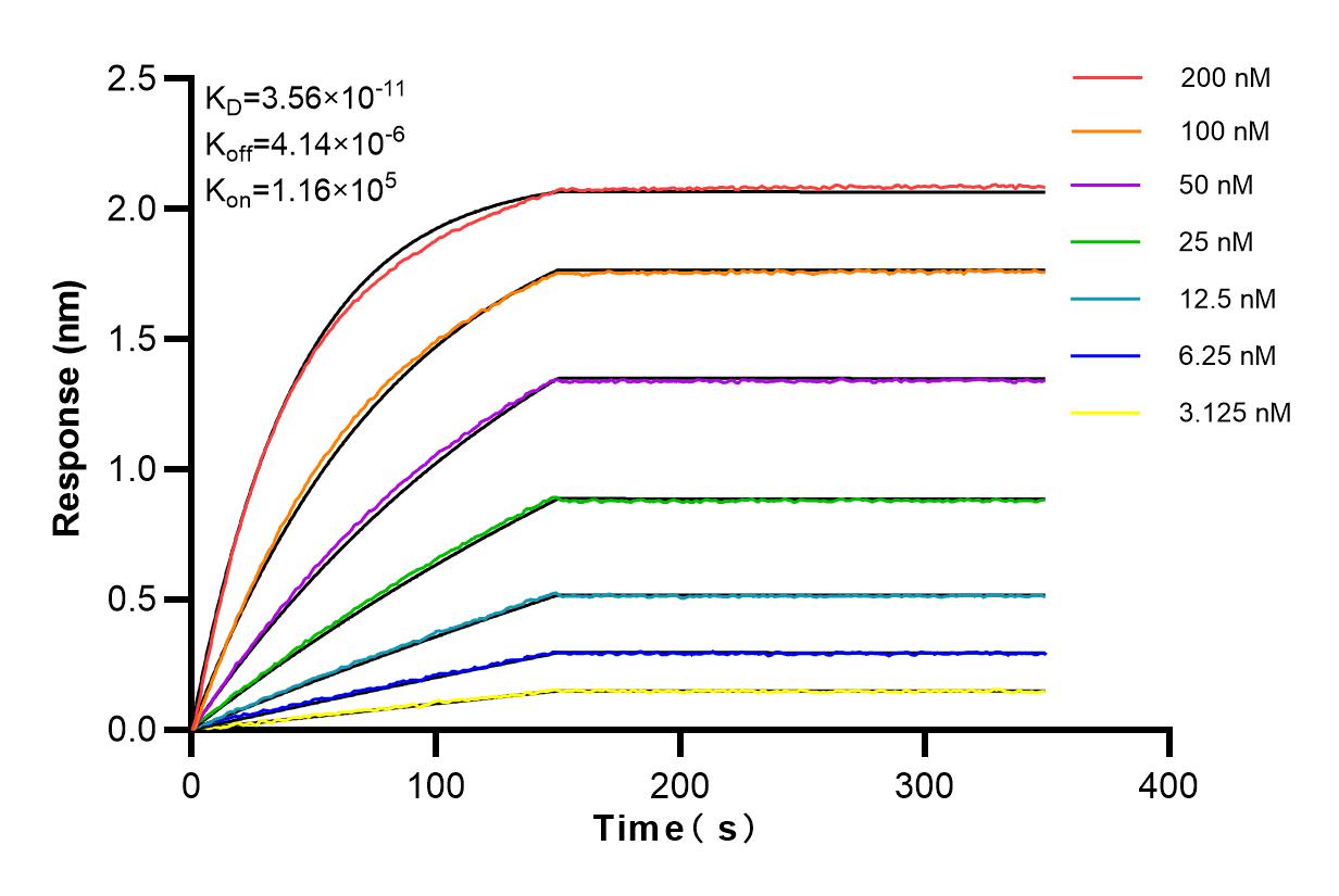 Affinity and Kinetic Characterization of 83026-6-RR