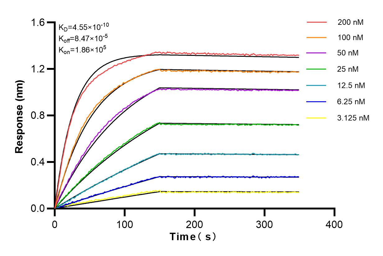 Affinity and Kinetic Characterization of 83036-1-RR