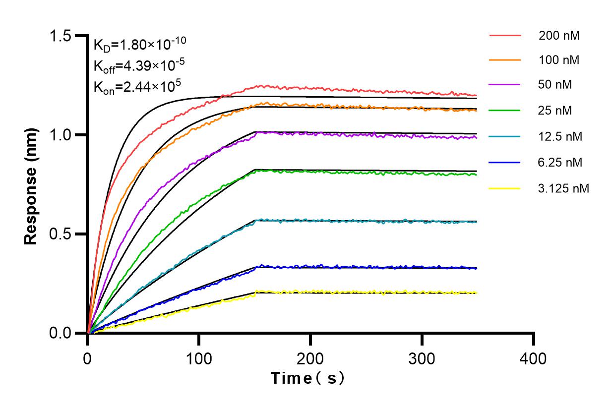 Affinity and Kinetic Characterization of 83039-4-RR