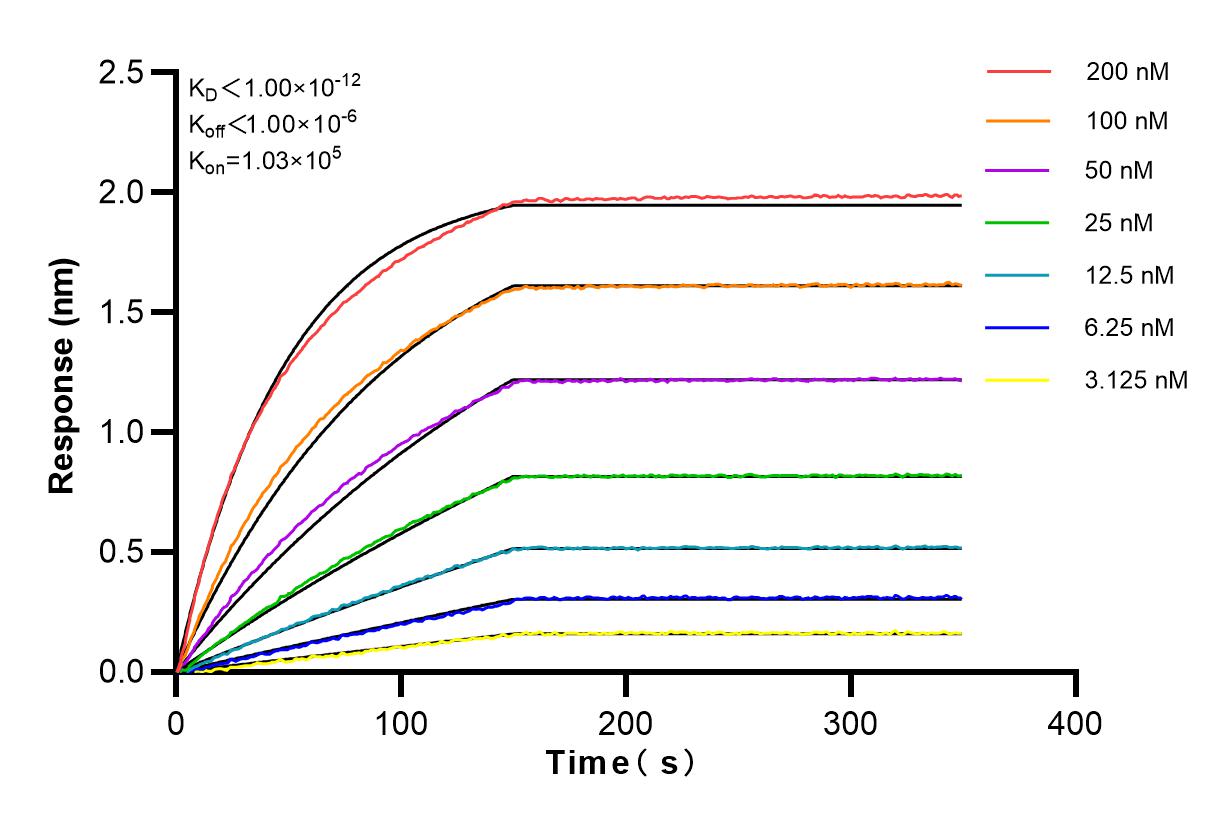 Affinity and Kinetic Characterization of 83042-3-PBS