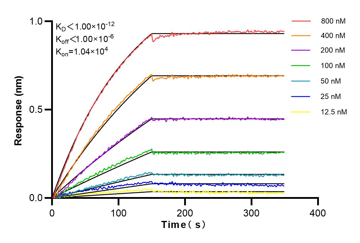 Affinity and Kinetic Characterization of 83047-5-RR