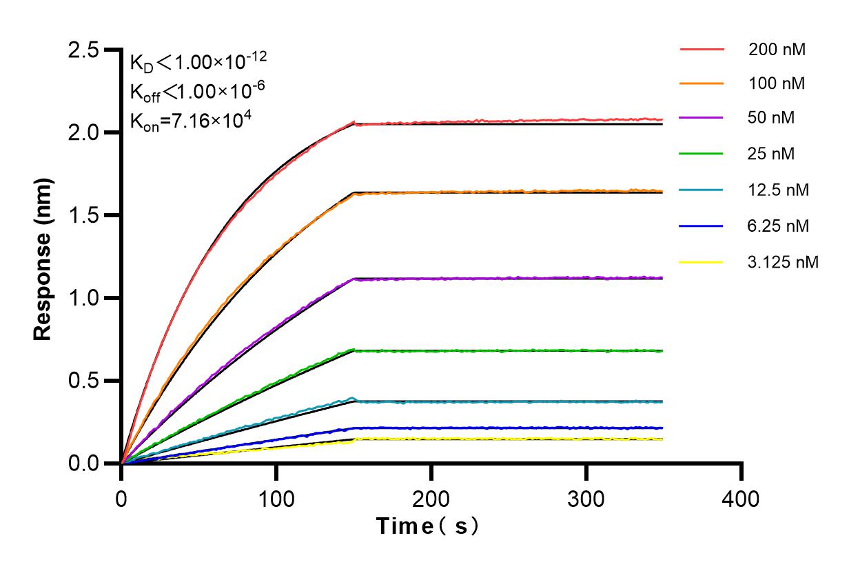 Affinity and Kinetic Characterization of 83052-5-RR