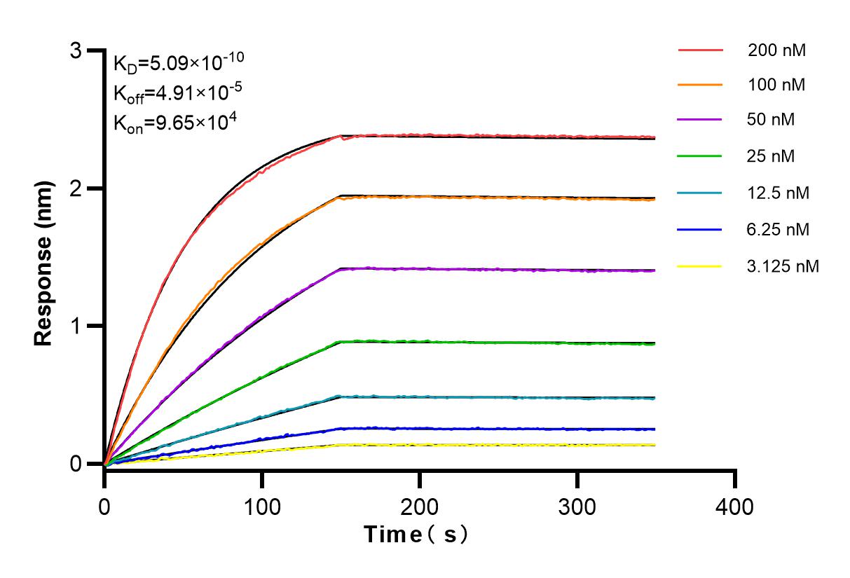 Affinity and Kinetic Characterization of 83052-6-RR