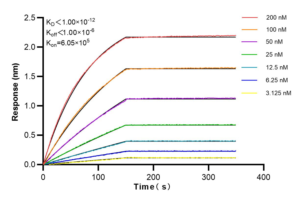 Affinity and Kinetic Characterization of 83052-7-RR