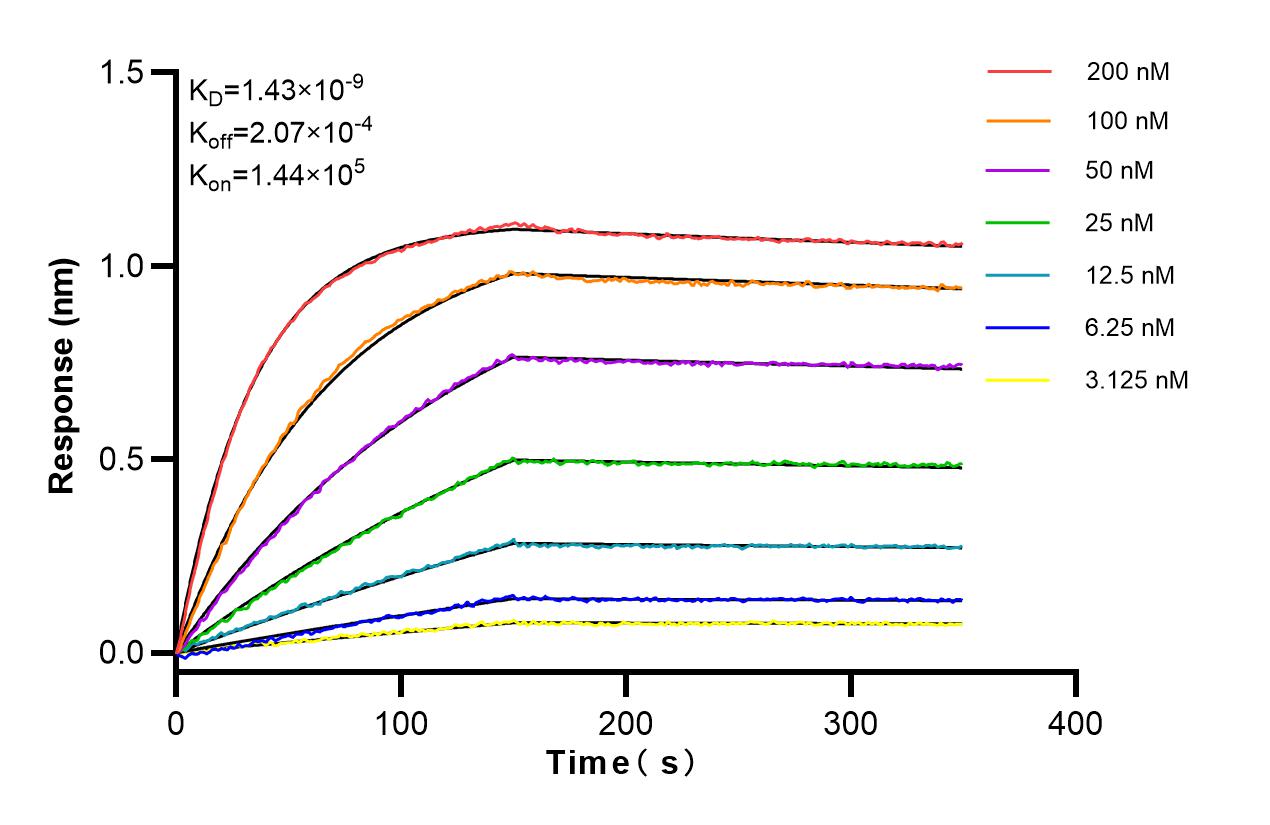 Affinity and Kinetic Characterization of 83055-6-RR