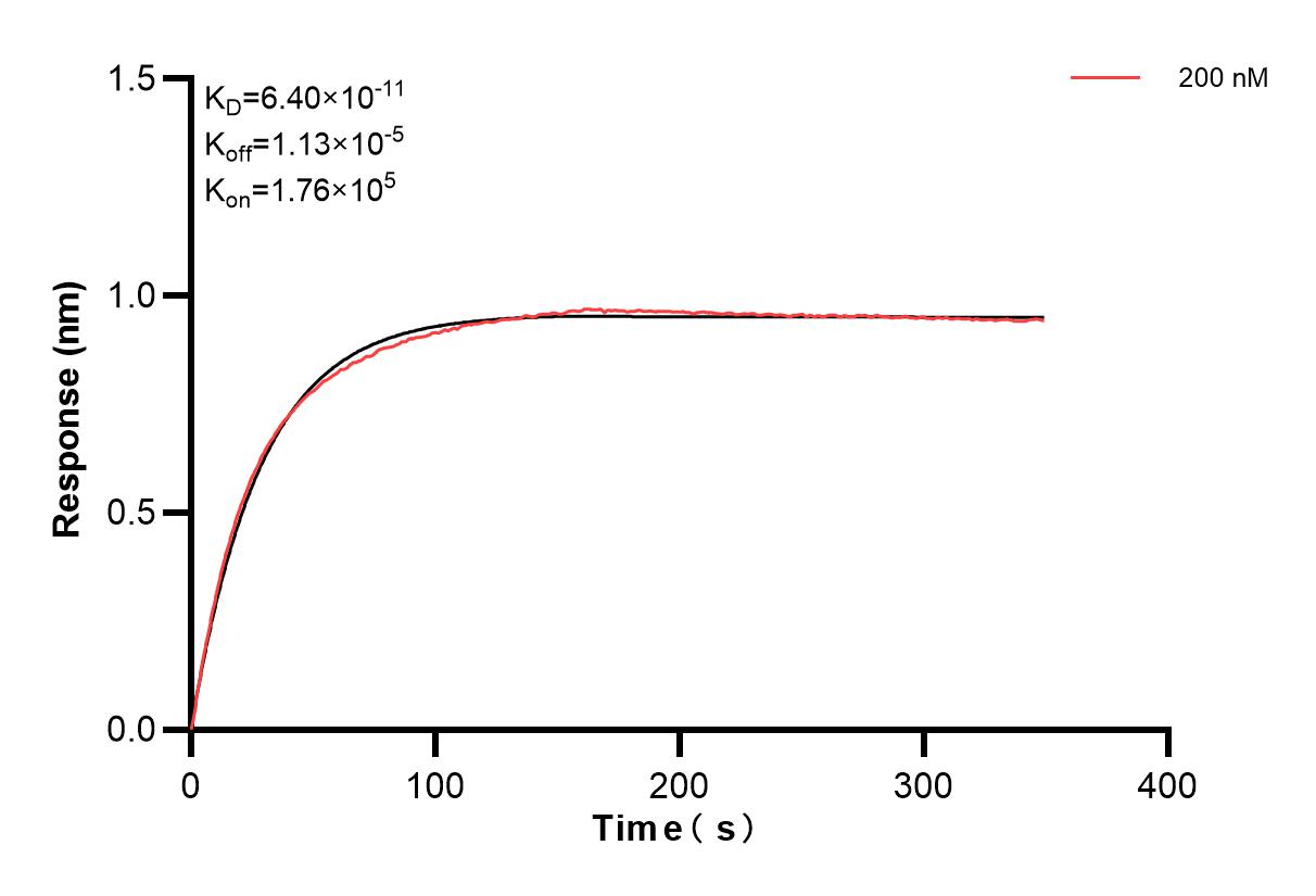 Affinity and Kinetic Characterization of 83057-1-PBS