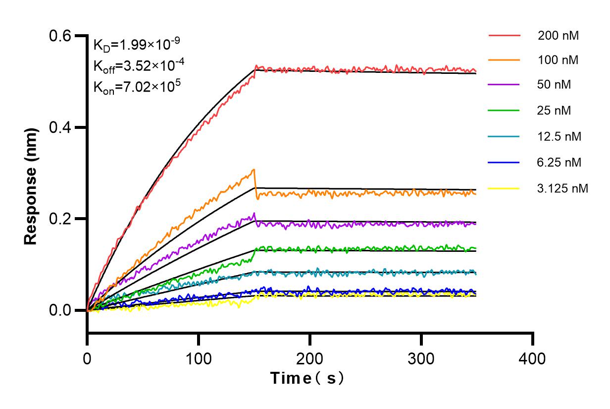 Affinity and Kinetic Characterization of 83058-1-RR