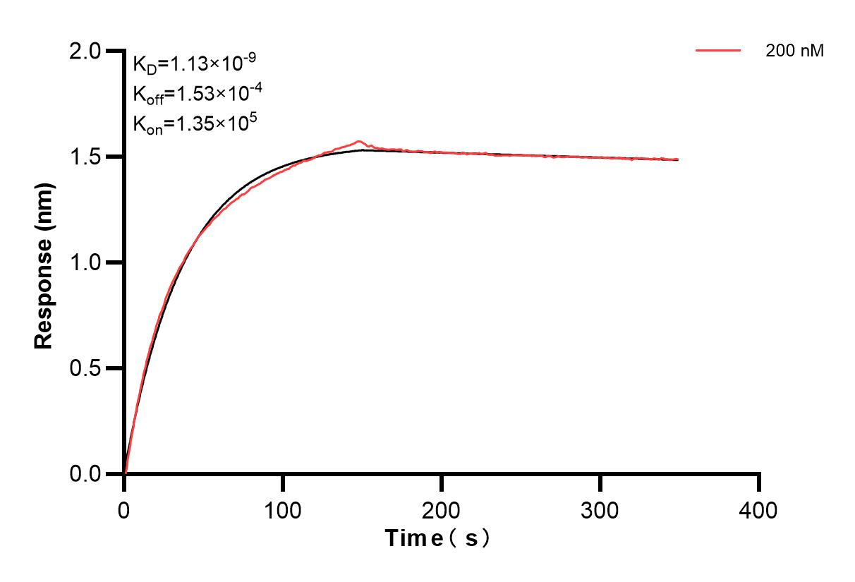 Affinity and Kinetic Characterization of 83086-2-PBS