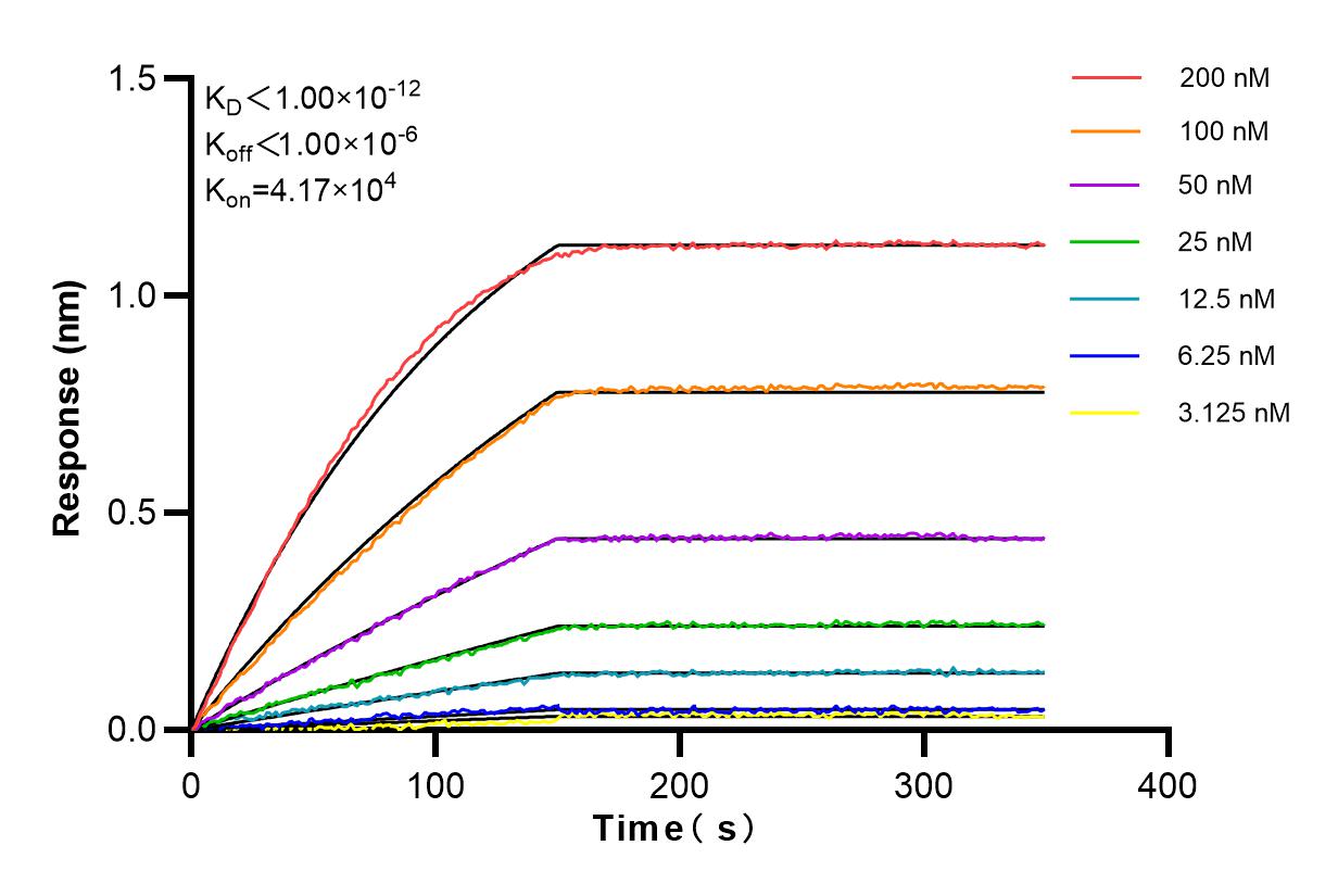 Affinity experiments of 83087-2-RR