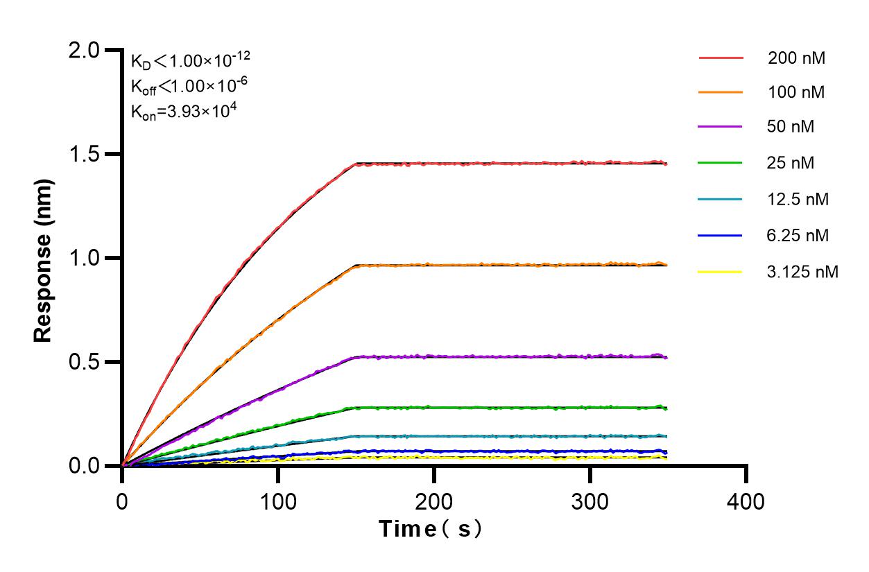 Affinity and Kinetic Characterization of 83089-1-RR