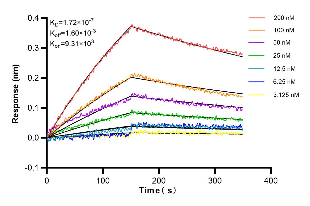 Affinity and Kinetic Characterization of 83108-1-RR