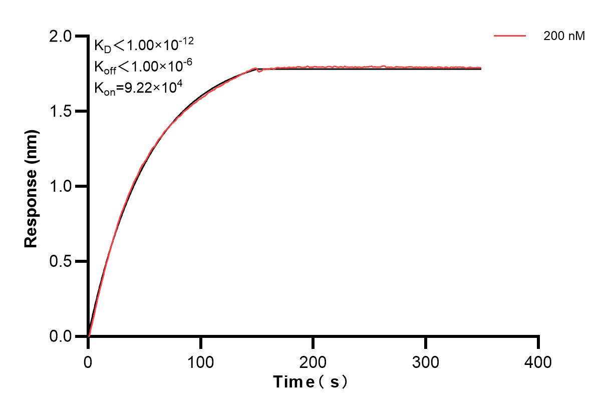 Affinity and Kinetic Characterization of 83112-4-PBS