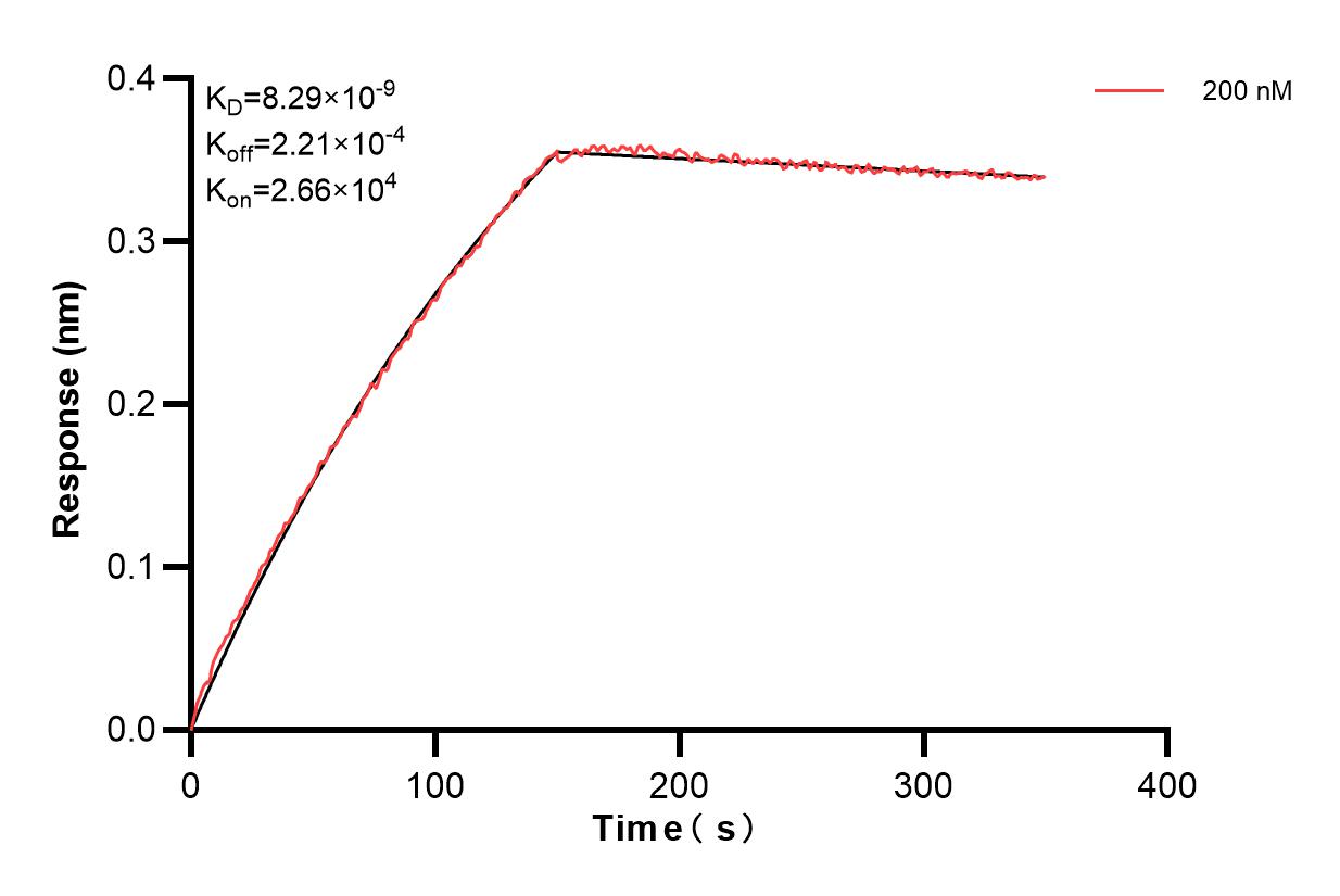 Affinity and Kinetic Characterization of 83119-2-PBS