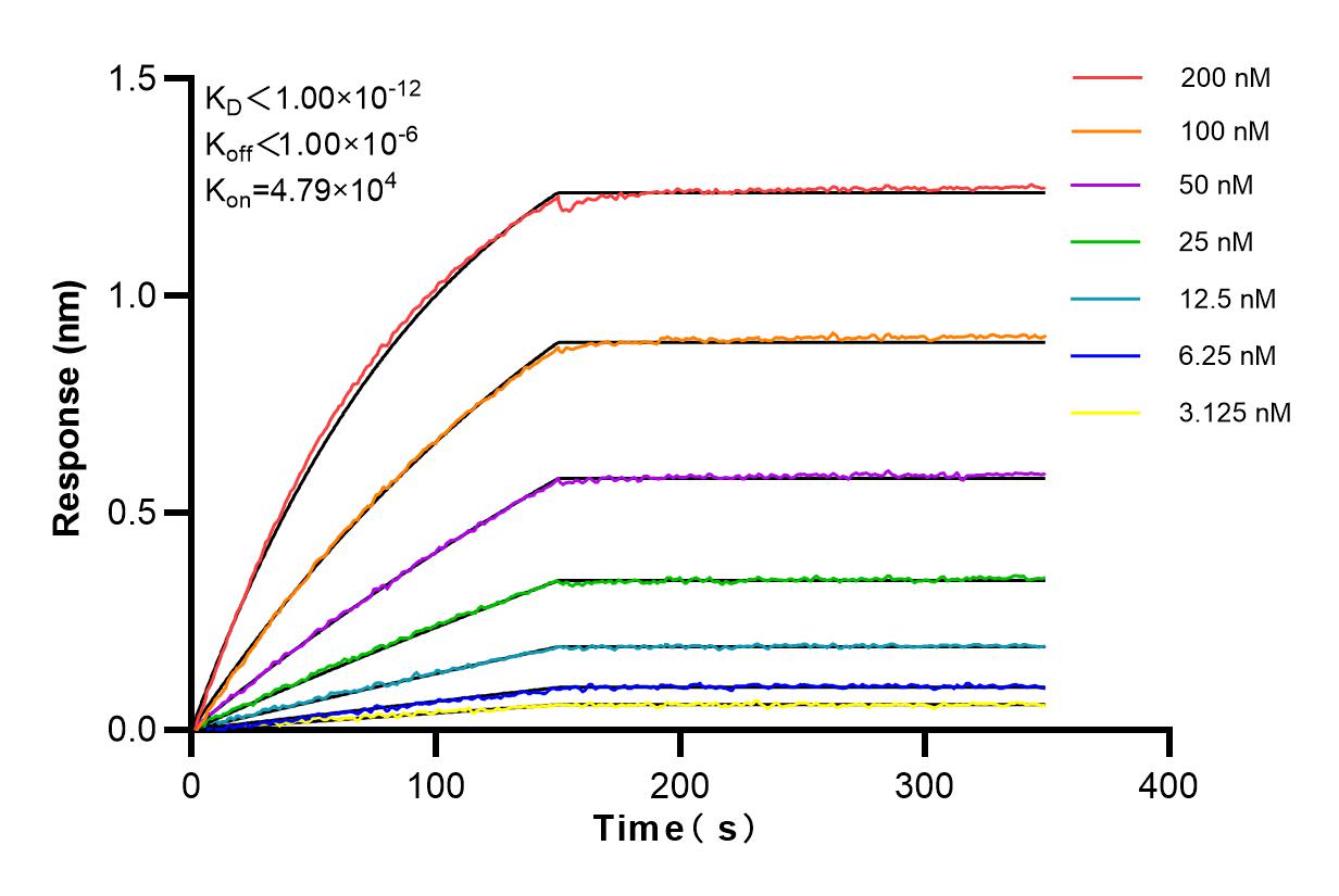 Affinity and Kinetic Characterization of 83121-4-RR