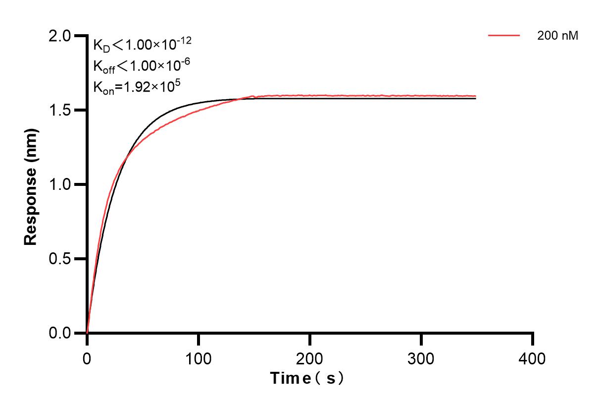 Affinity and Kinetic Characterization of 83131-1-PBS