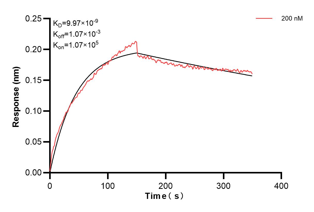 Affinity and Kinetic Characterization of 83135-4-PBS