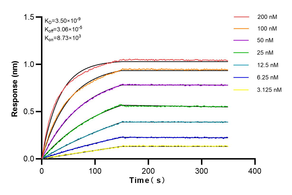 Affinity and Kinetic Characterization of 83141-2-RR