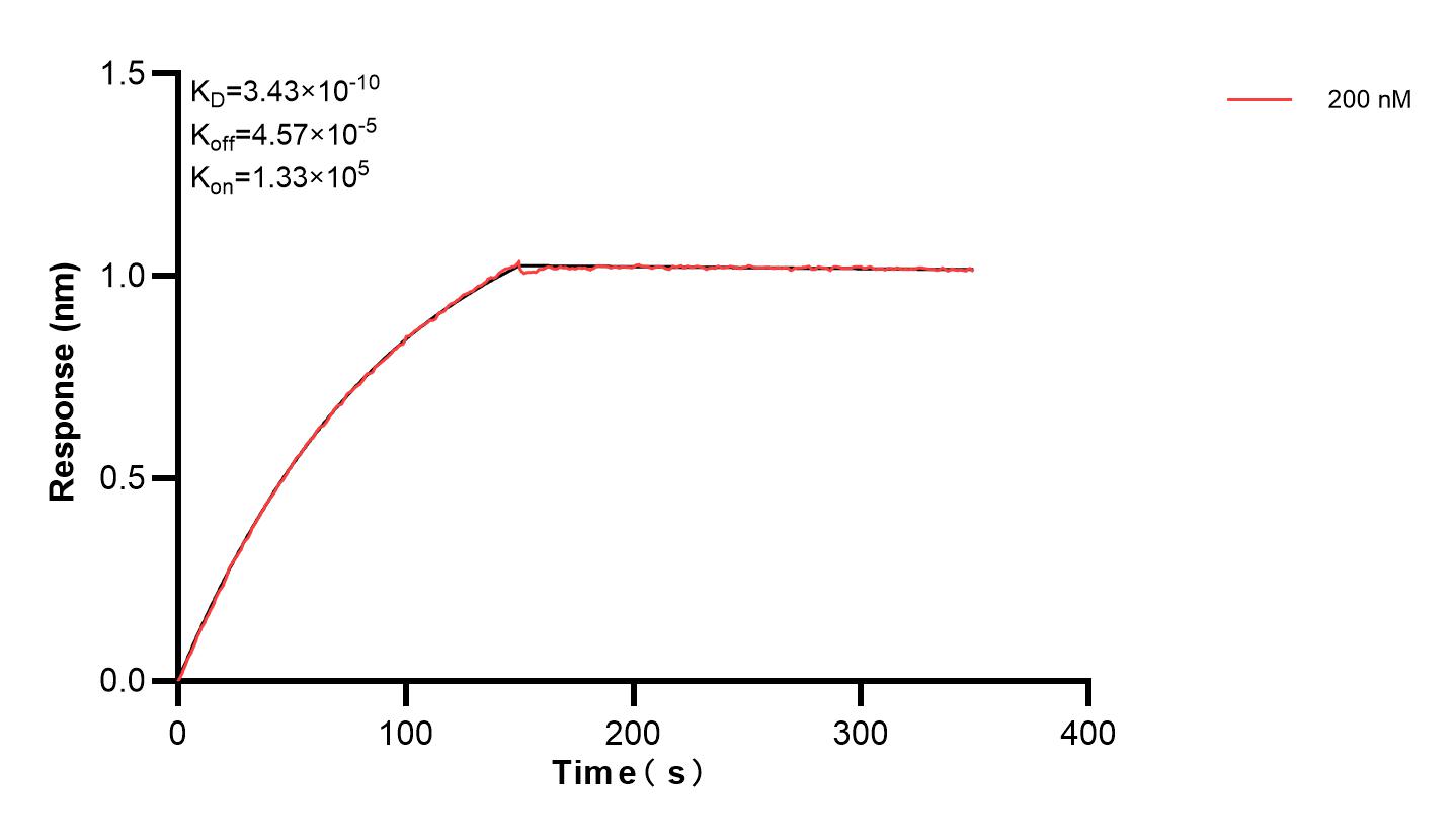 Affinity and Kinetic Characterization of 83160-3-PBS