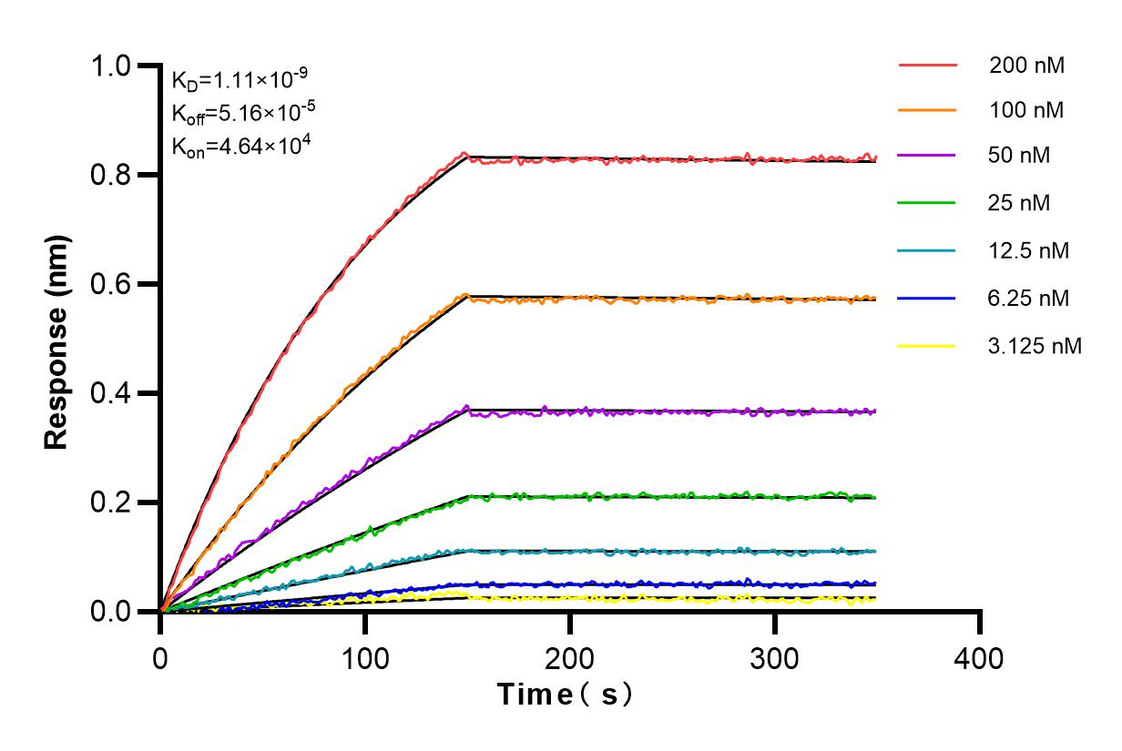 Affinity and Kinetic Characterization of 83160-4-RR