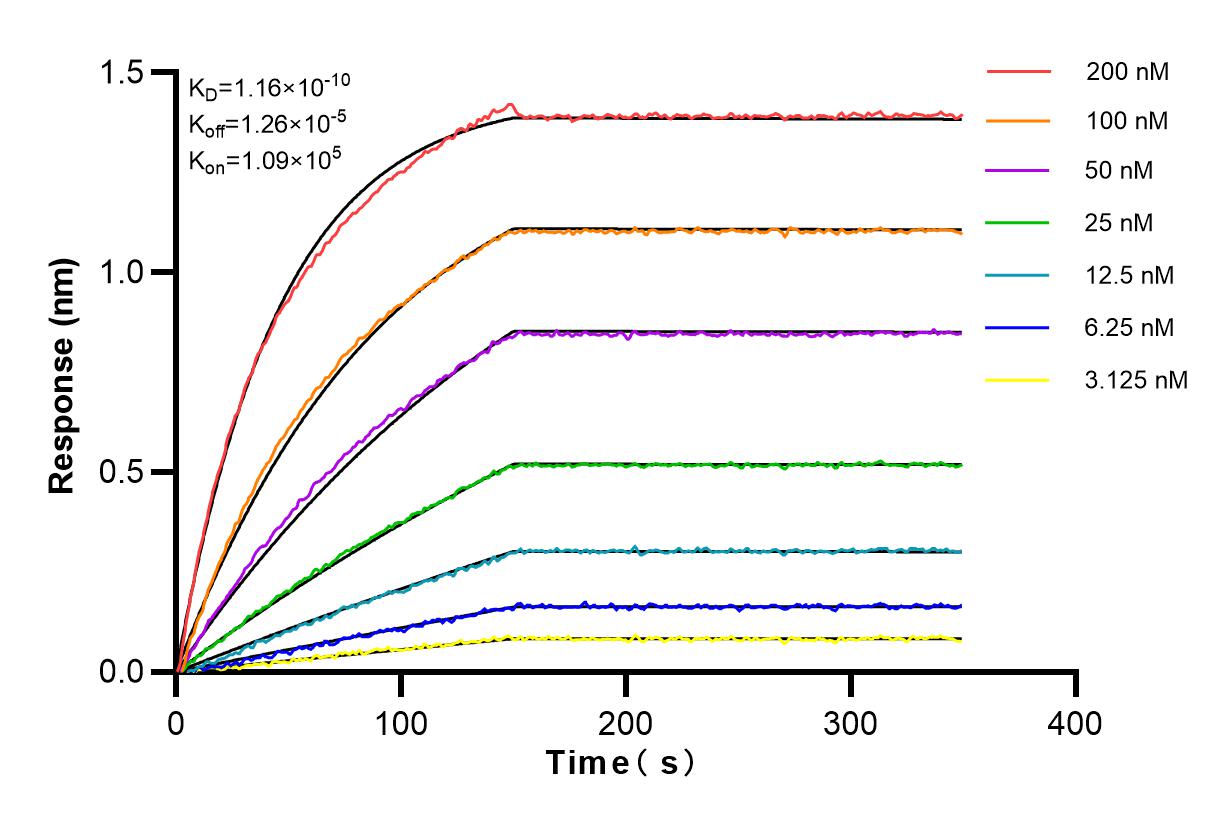 Affinity and Kinetic Characterization of 83161-4-PBS