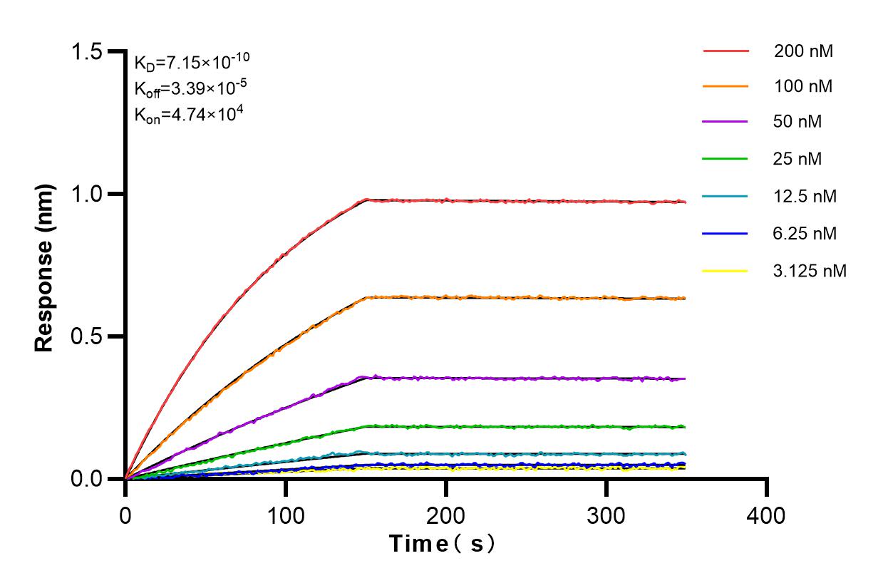 Affinity and Kinetic Characterization of 83182-5-RR