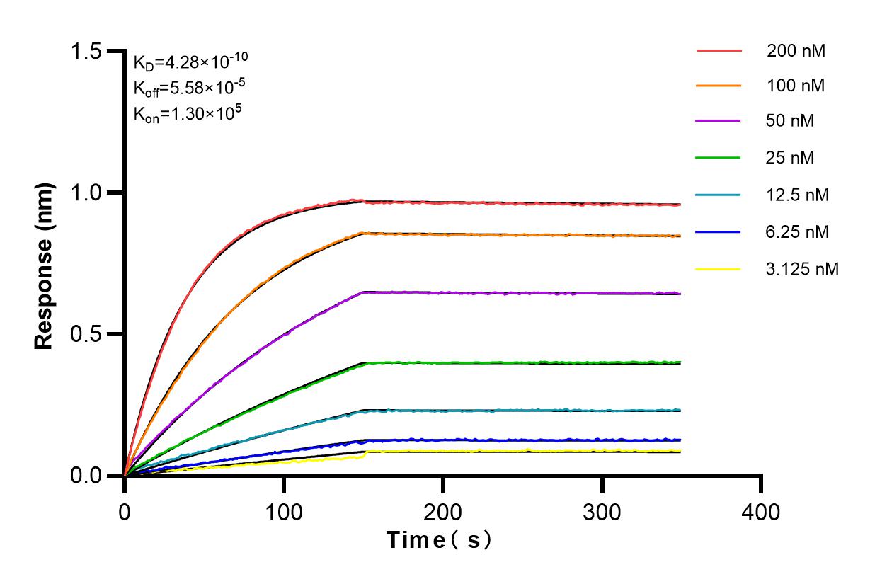 Affinity and Kinetic Characterization of 83187-3-RR