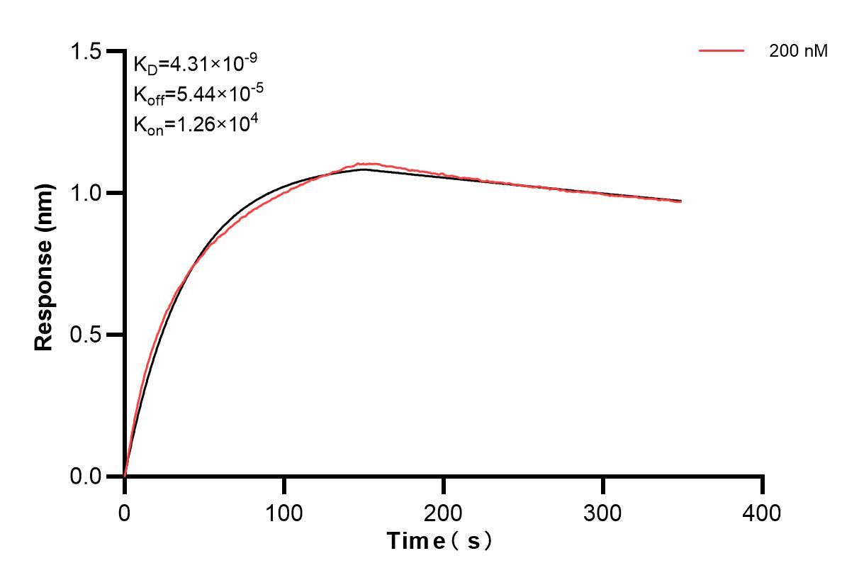 Affinity and Kinetic Characterization of 83191-4-PBS