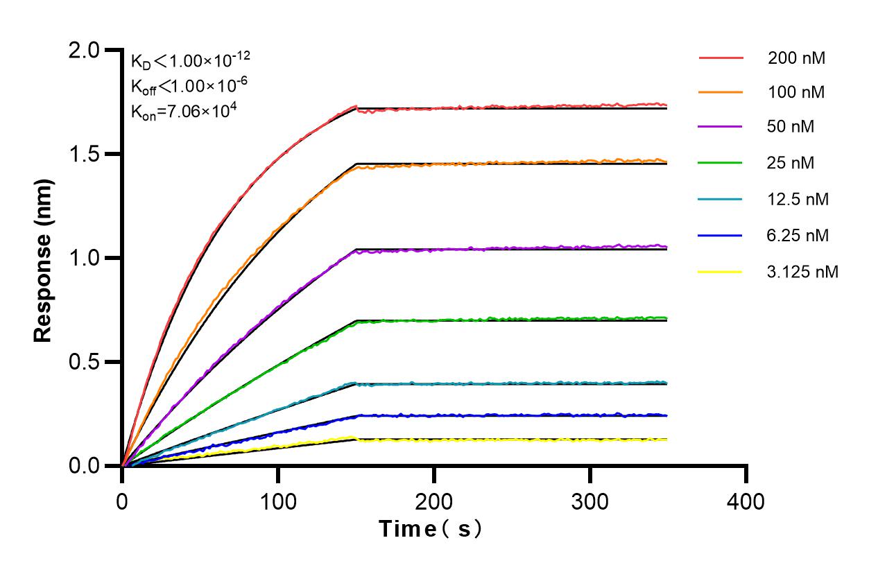 Affinity and Kinetic Characterization of 83196-4-PBS