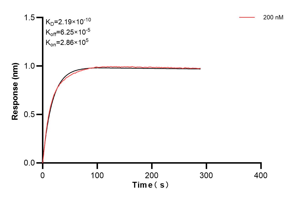 Affinity and Kinetic Characterization of 83205-3-PBS