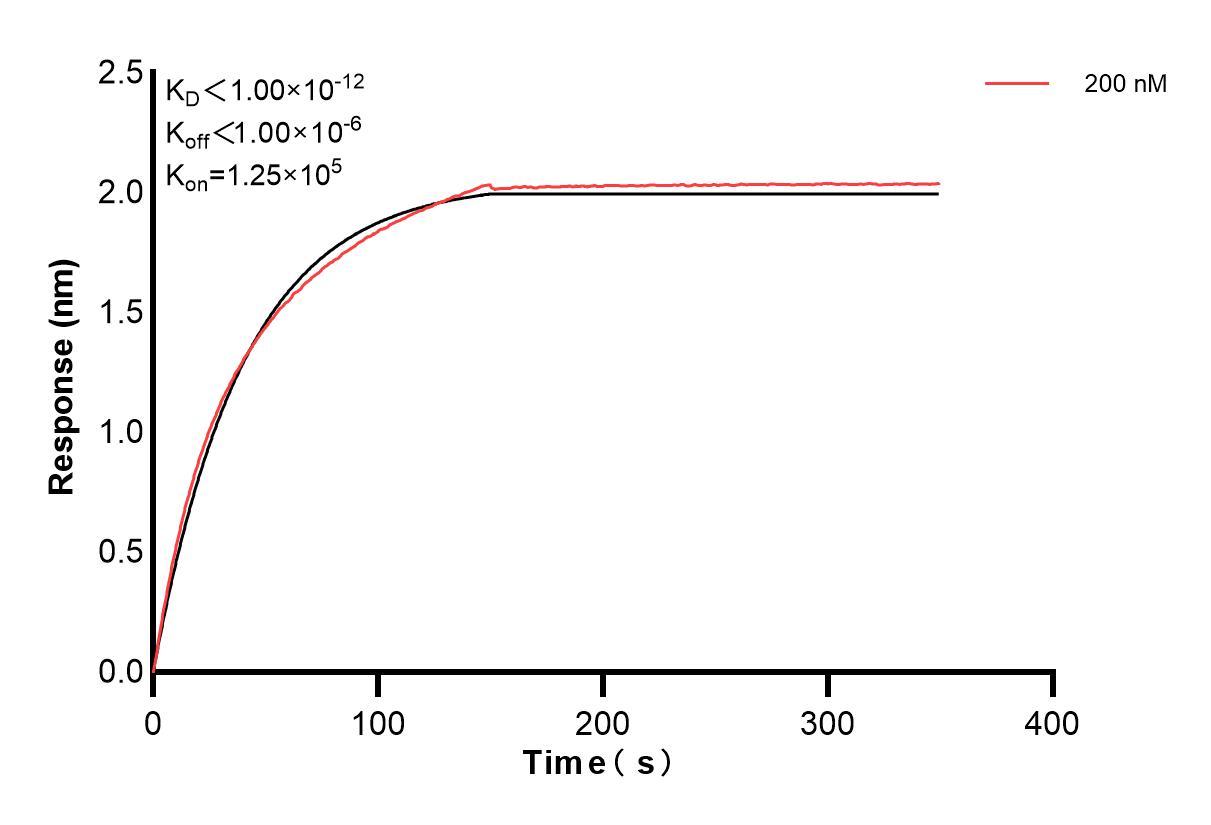 Affinity and Kinetic Characterization of 83212-3-PBS