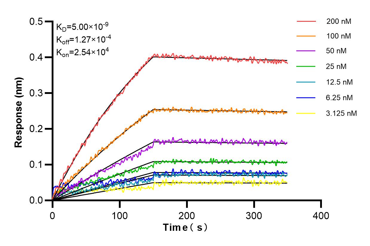 Affinity and Kinetic Characterization of 83216-4-RR