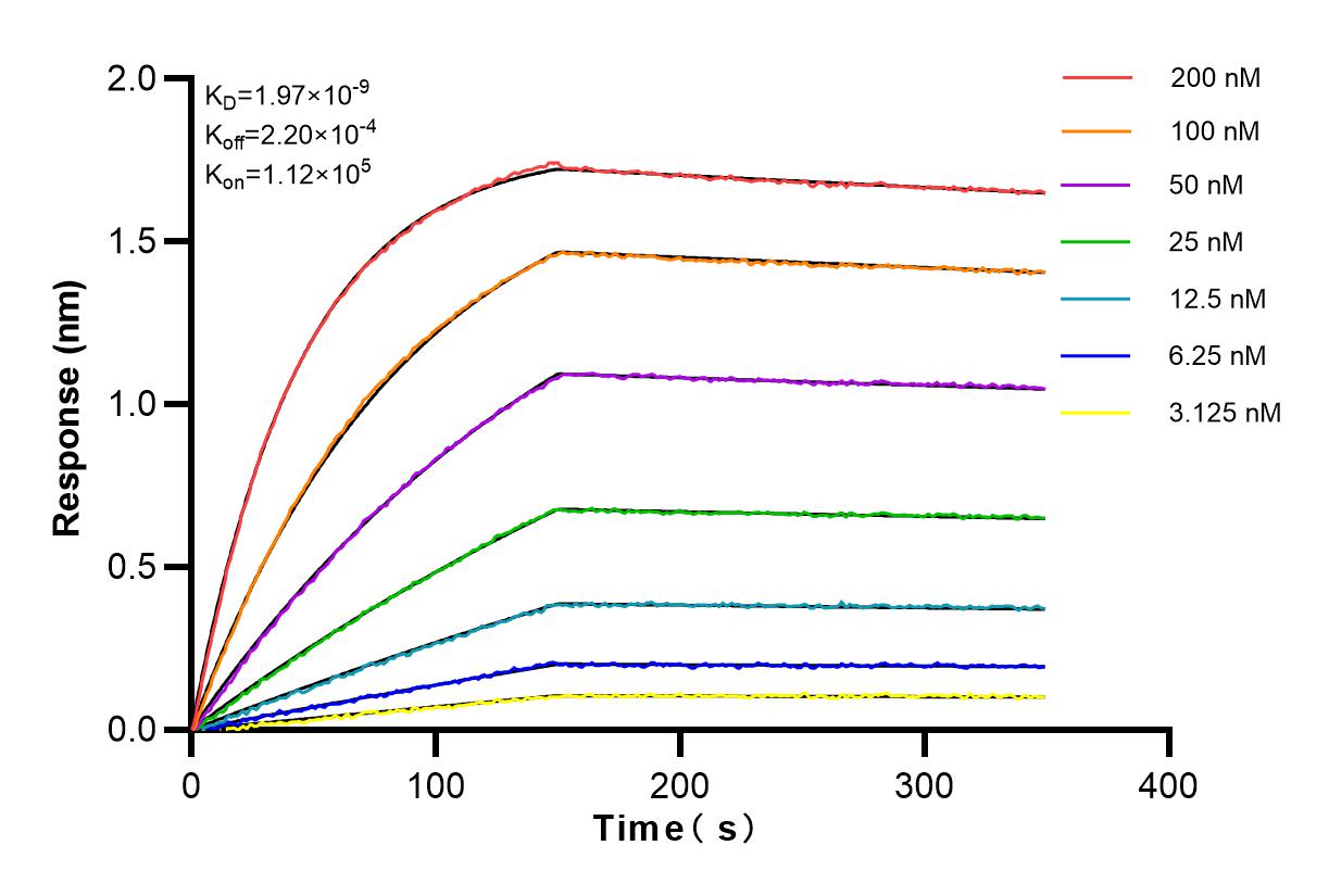 Affinity and Kinetic Characterization of 83220-6-PBS