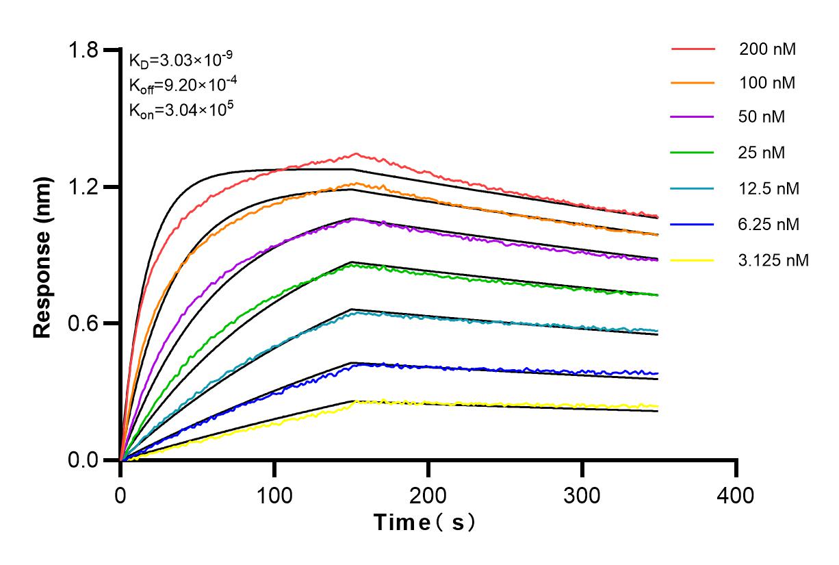 Affinity and Kinetic Characterization of 83225-2-RR