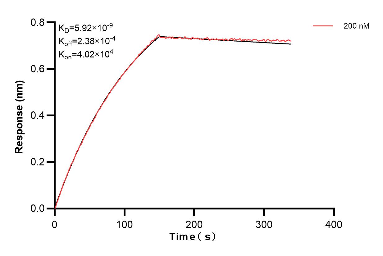 Affinity and Kinetic Characterization of 83228-2-PBS