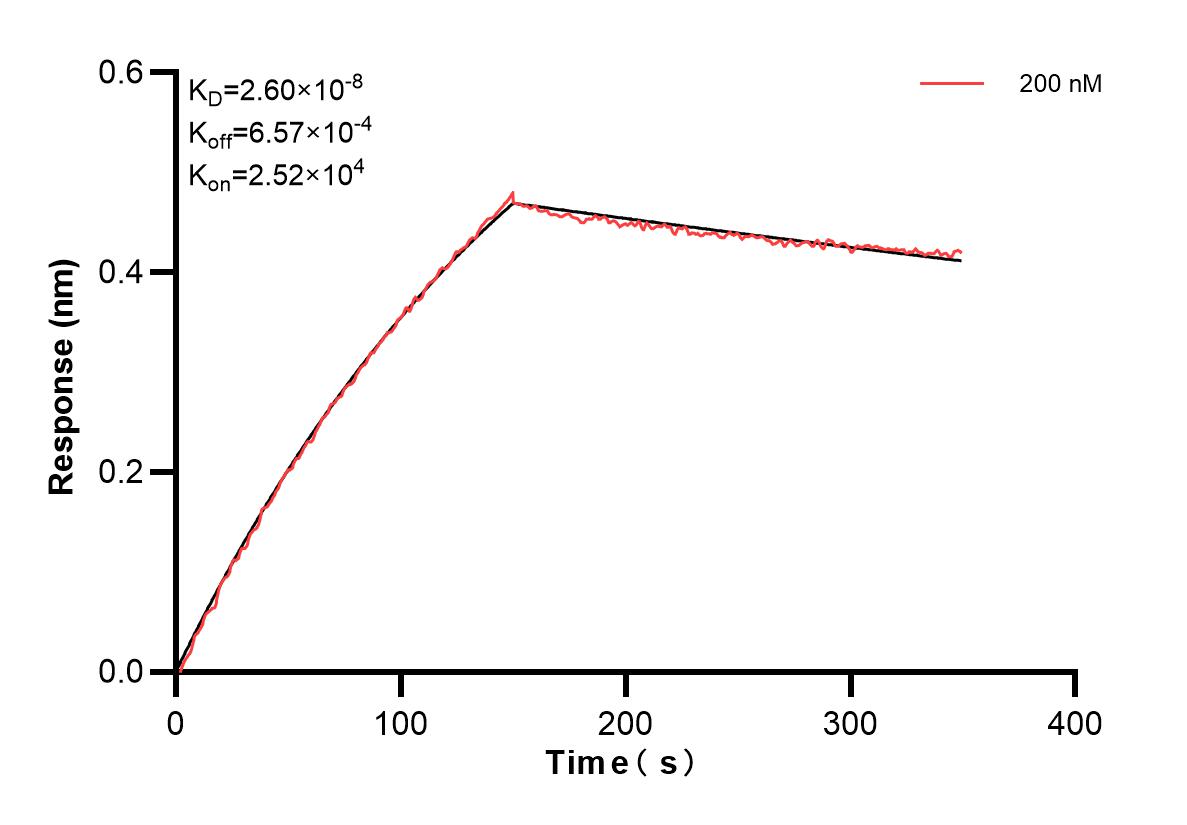 Affinity and Kinetic Characterization of 83228-3-PBS