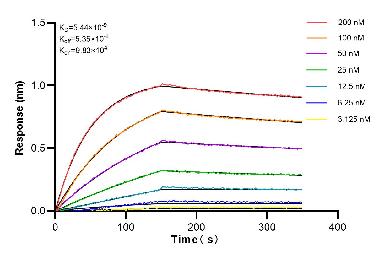 Affinity and Kinetic Characterization of 83230-3-PBS