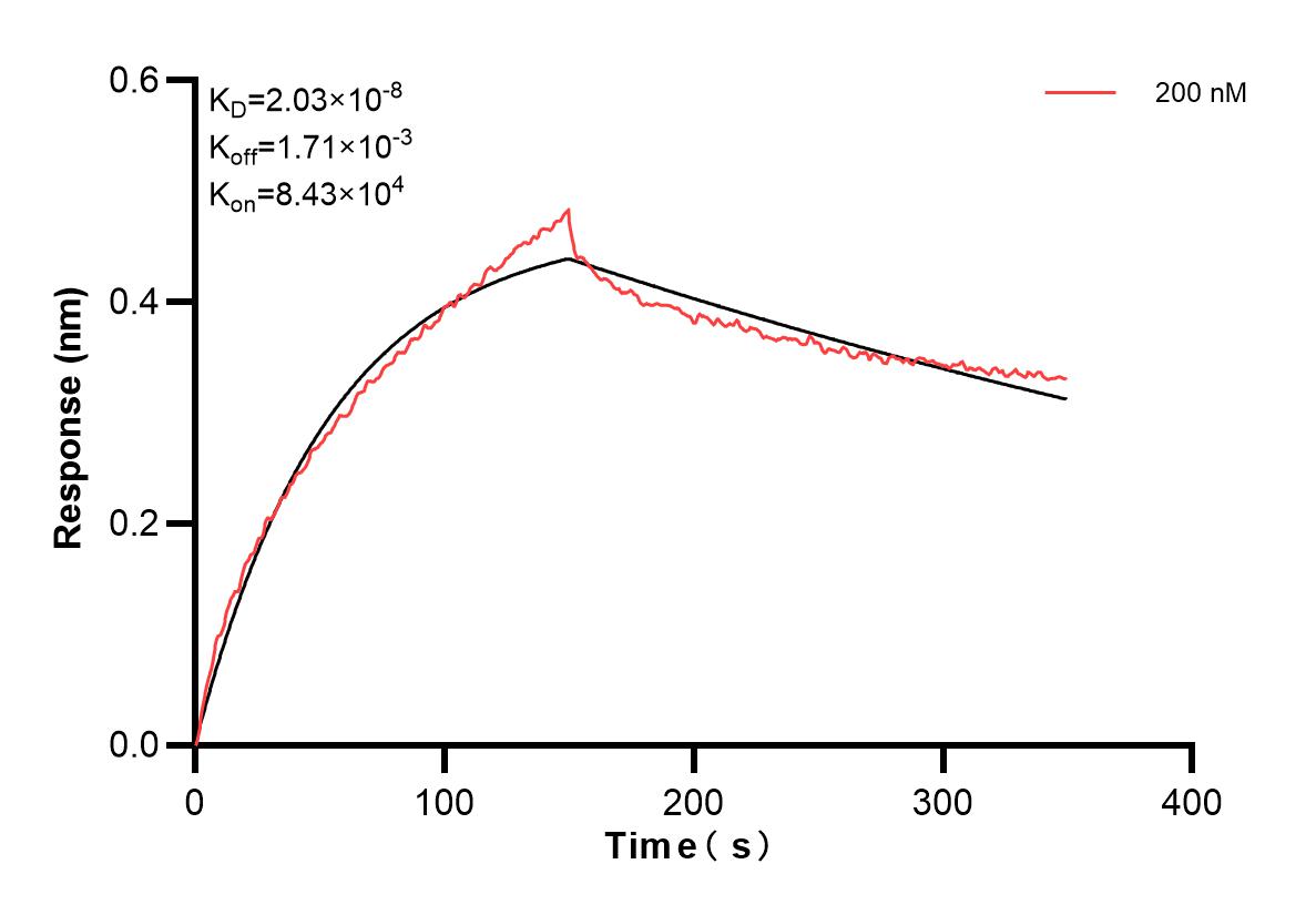 Affinity and Kinetic Characterization of 83240-4-PBS