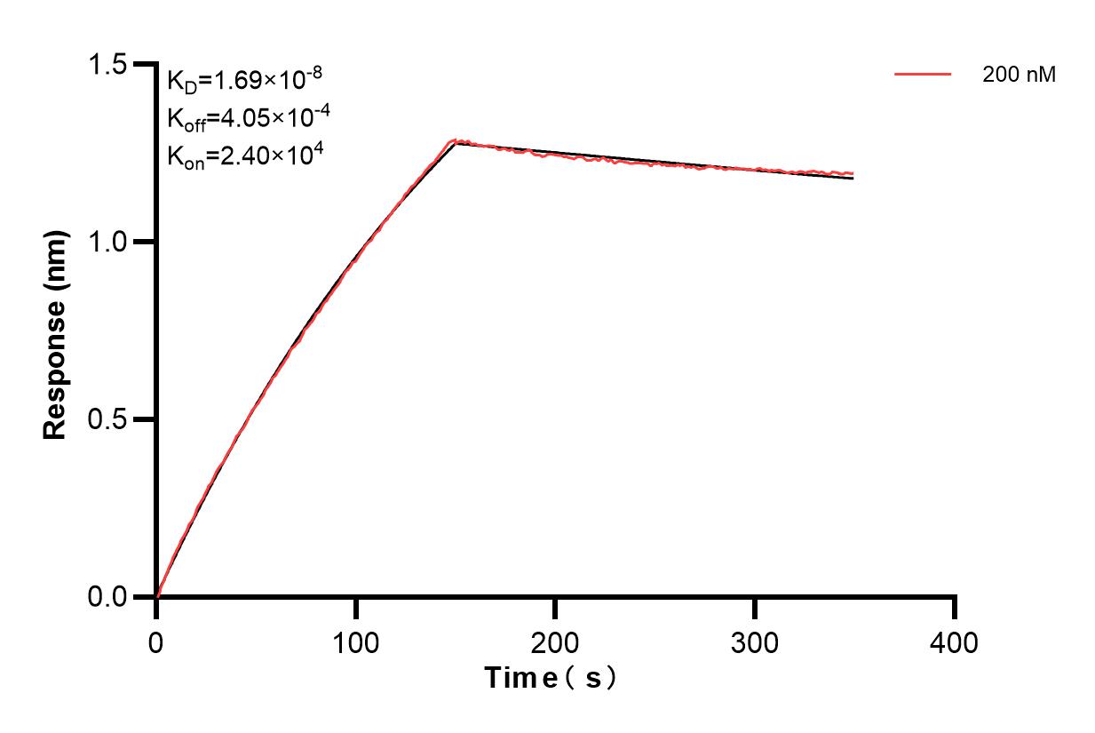 Affinity and Kinetic Characterization of 83250-2-PBS