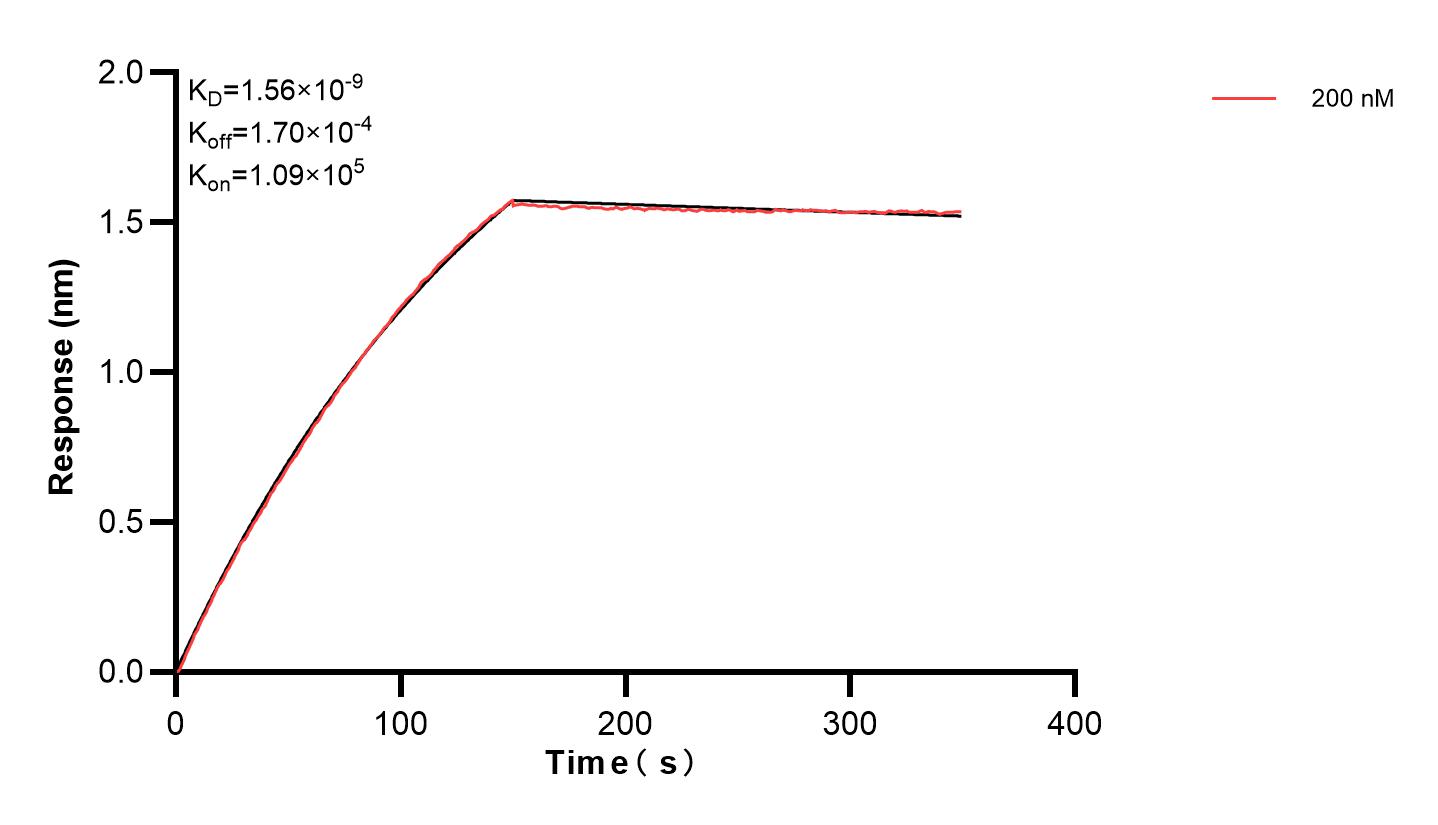 Affinity and Kinetic Characterization of 83250-3-PBS