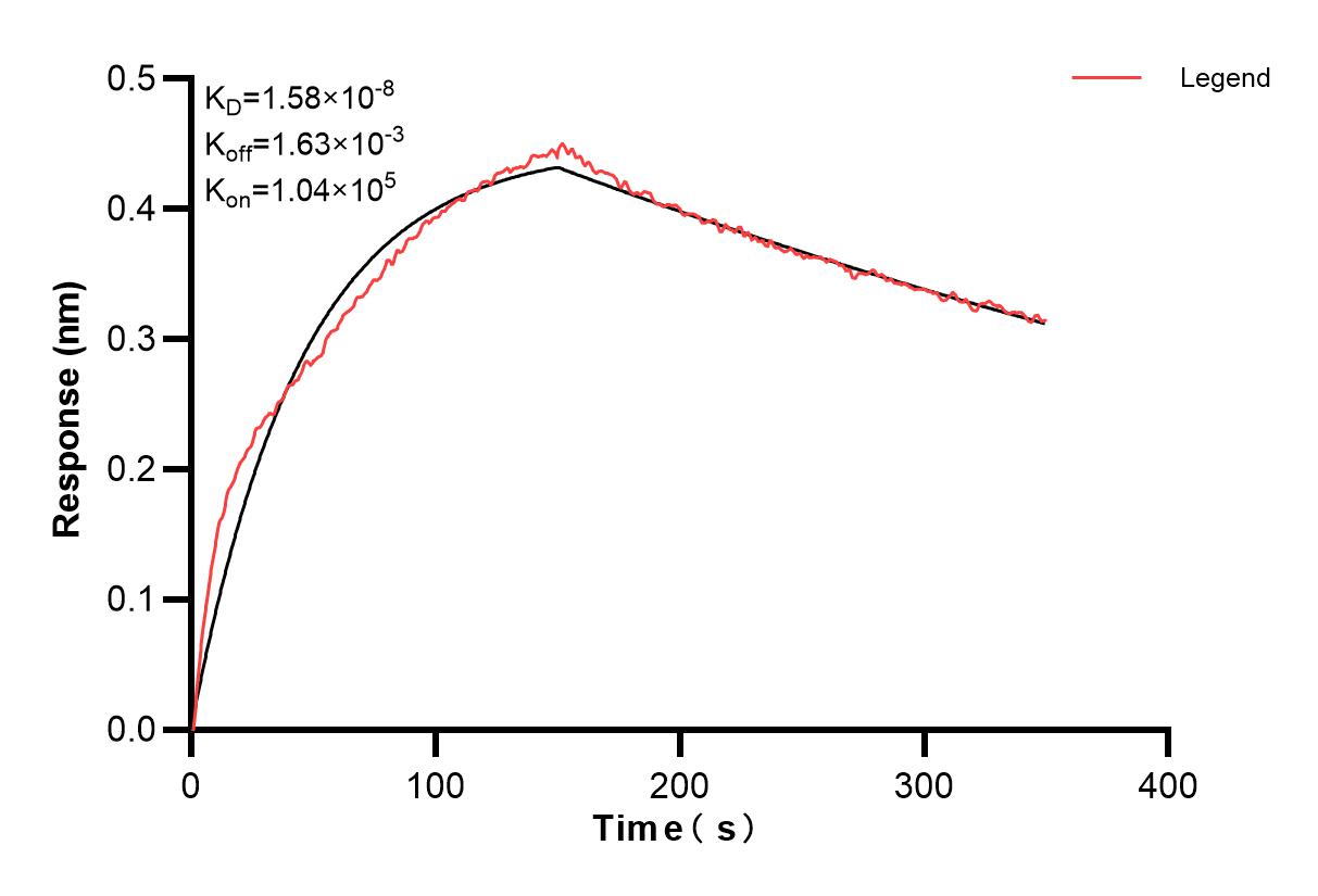 Affinity and Kinetic Characterization of 83251-2-PBS