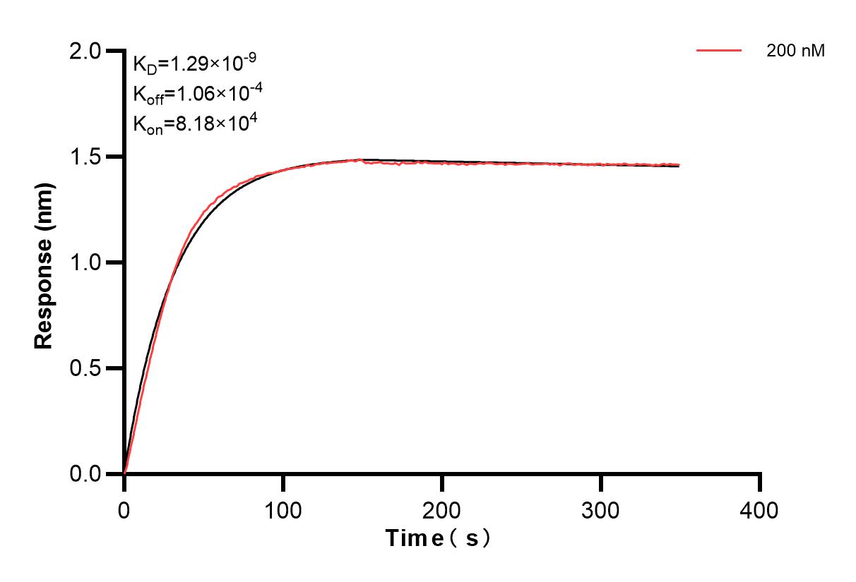 Affinity and Kinetic Characterization of 83258-1-PBS