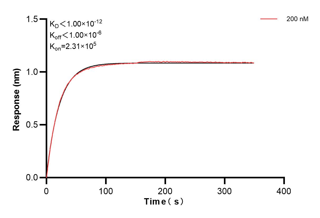 Affinity and Kinetic Characterization of 83258-3-PBS