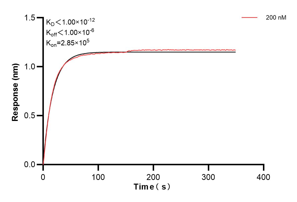 Affinity and Kinetic Characterization of 83258-4-PBS