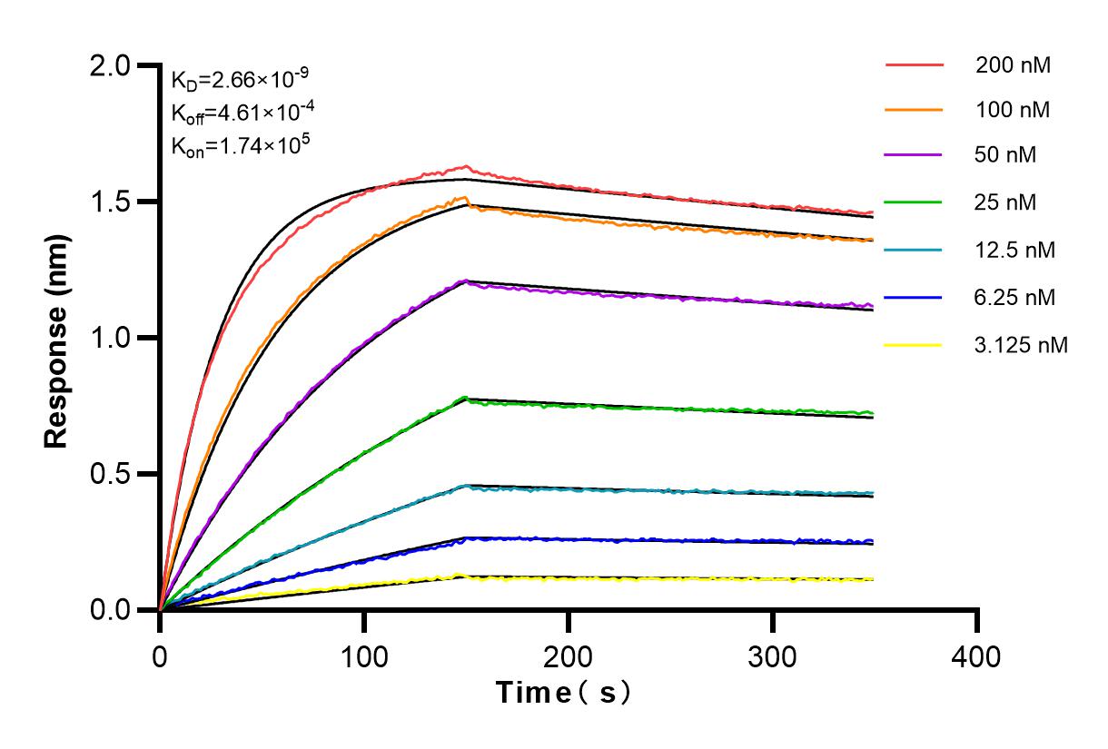 Affinity and Kinetic Characterization of 83265-2-RR